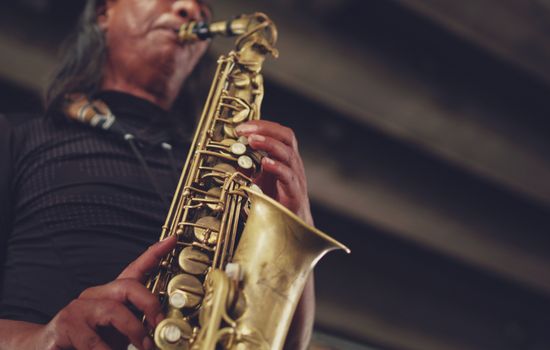 Ontdek de Muzikale Wereld van het Haarlem Jazz Festival